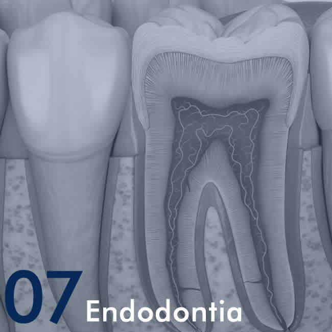 Endodontia